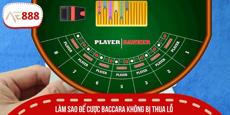 Cẩm nang cược Baccara hiệu quả cho người mới