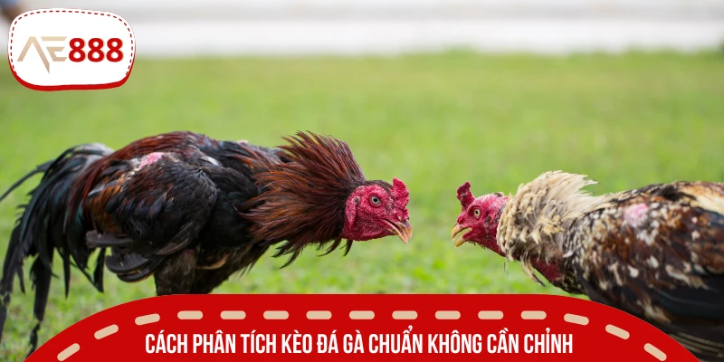 Tổng hợp các kiểu thức soi kèo thường thấy