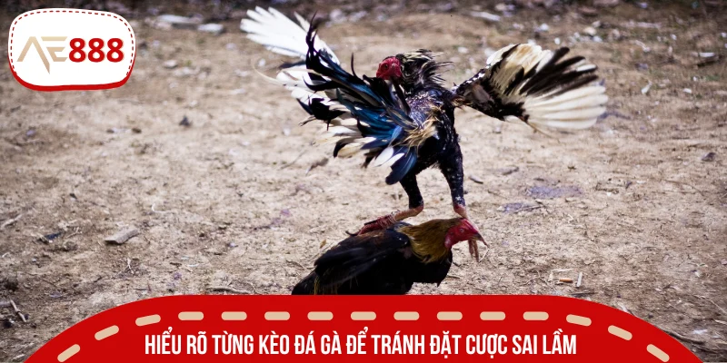 Tổng hợp một vài kèo cần biết khi cược 