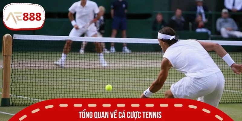 Tìm hiểu đôi điều xoay quanh cá cược tennis
