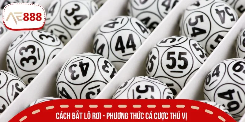 Cách bắt lô rơi - phương thức cá cược thú vị