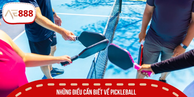 Giới thiệu nhanh về môn Pickleball đang lên ngôi