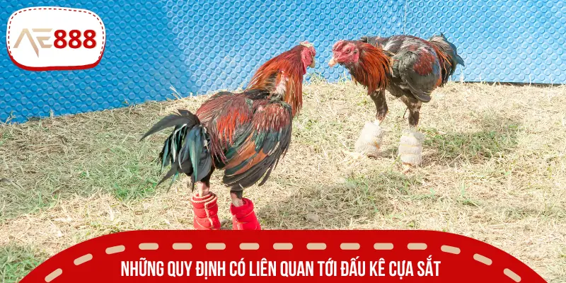 AE888 chia sẻ về các quy định trong một trận đấu cơ bản 