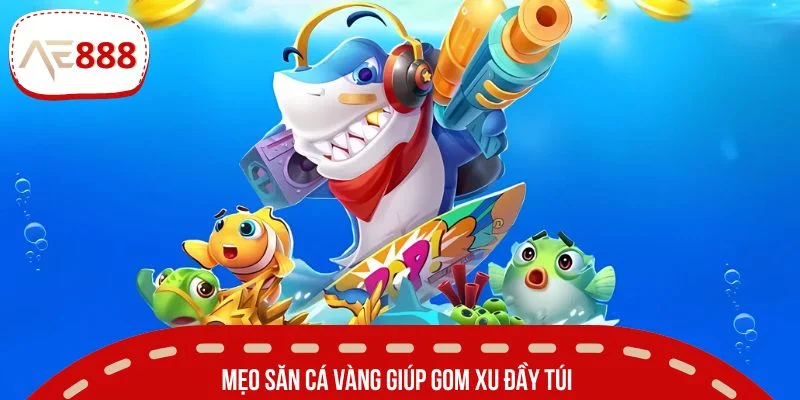 Mẹo săn cá vàng giúp gom xu đầy túi