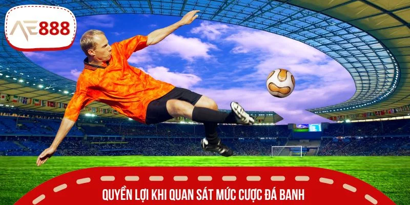 Quyền lợi khi quan sát mức cược đá banh